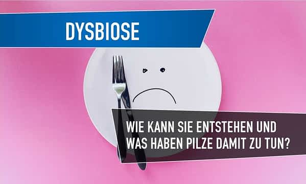 dysbiose ursachen