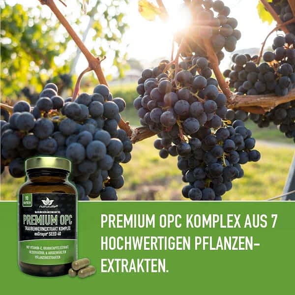 opc kaufen kapseln